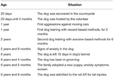 An Interdisciplinary Approach for Compulsive Behavior in Dogs: A Case Report